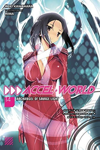 Accel World - Novel 14