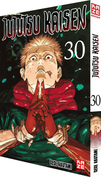 Jujutsu Kaisen 30