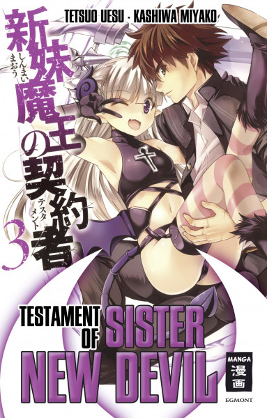 Testament of Sister New Devil 03