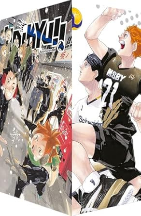 Haikyu!! 45 + Sammelschuber