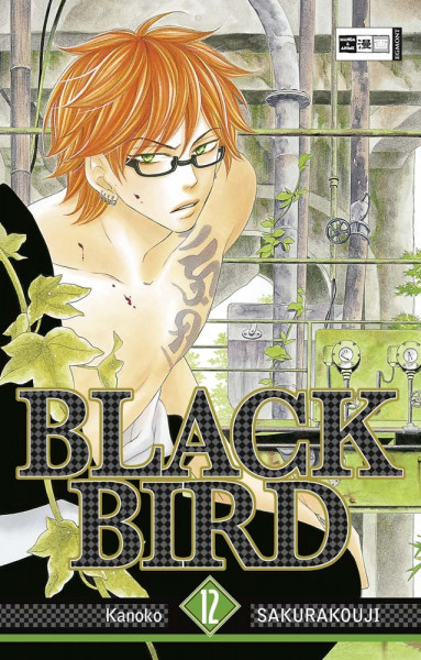 Black Bird 12