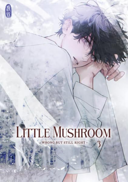 Little Mushroom - wrong but still right 03
