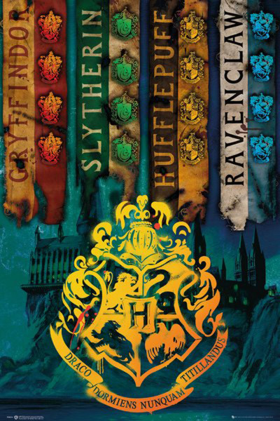 Poster: C38 Harry Potter House Flags 91,5 x 61 cm
