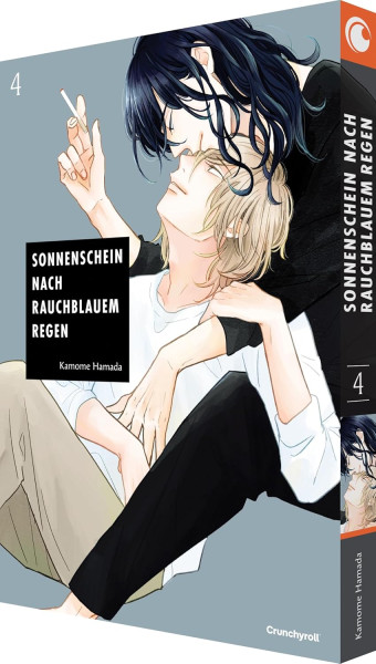 Sonnenschein nach rauchblauem Regen 04