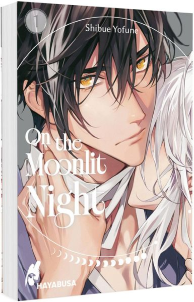 On the Moonlit Night 01