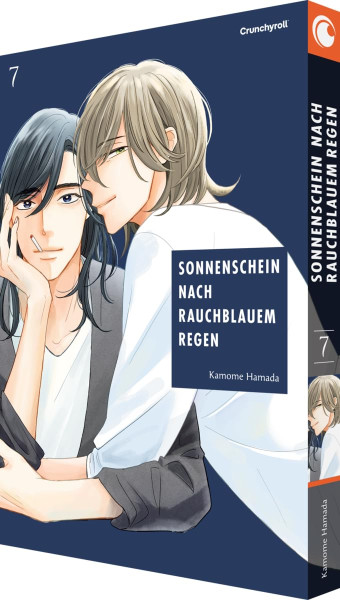 Sonnenschein nach rauchblauem Regen 07