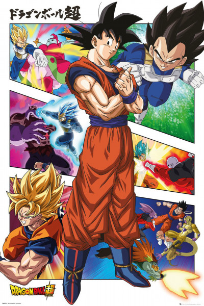 Poster: C29 Dragon Ball Super Panels 91,5 x 61 cm