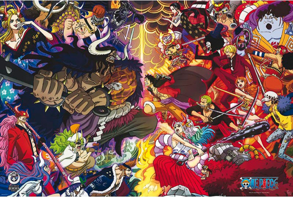 Poster: C28 One Piece - Final Fight 91,5 x 61 cm