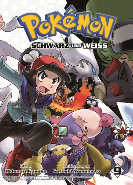Pokemon Schwarz und Weiss 09