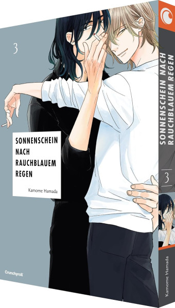 Sonnenschein nach rauchblauem Regen 03