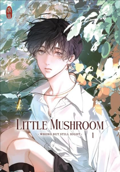 Little Mushroom - wrong but still right 01