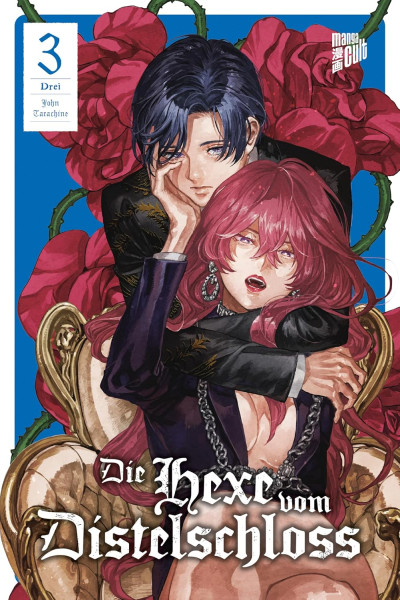 Die Hexe vom Distelschloss 03